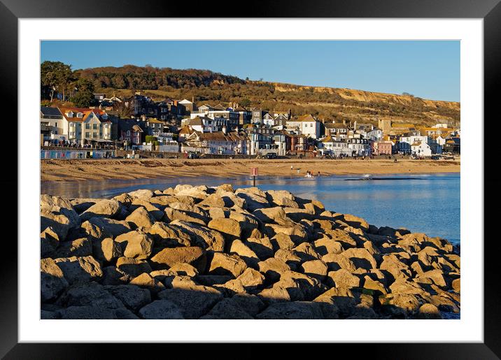 Lyme Regis from North Wall                       Framed Mounted Print by Darren Galpin