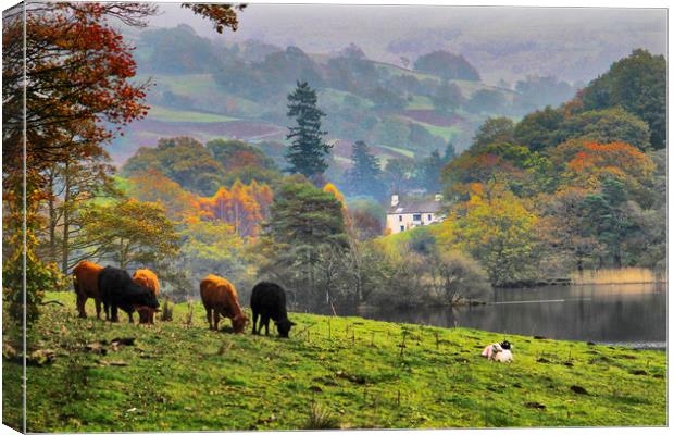 The Lake District Cumbria uk Canvas Print by Irene Burdell