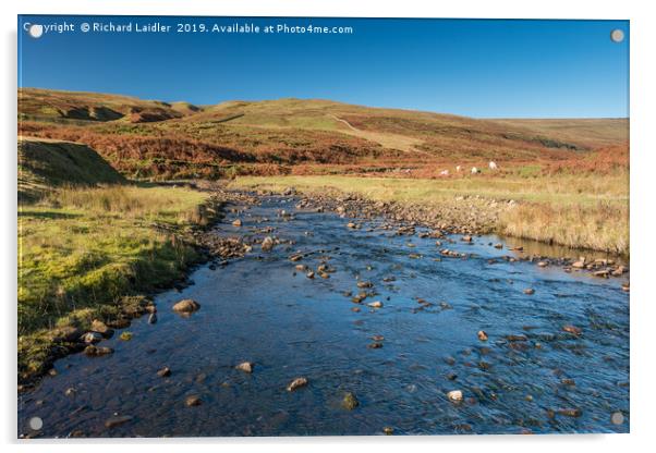 North Pennines Moorland Stream Acrylic by Richard Laidler