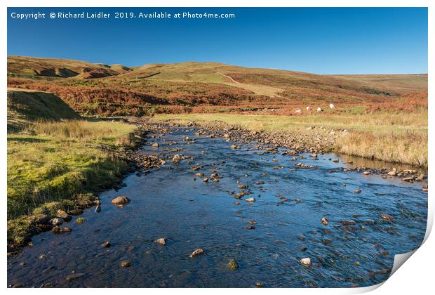North Pennines Moorland Stream Print by Richard Laidler