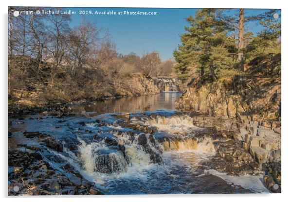 Fine Winter Morning, Low Force Waterfall, Teesdale Acrylic by Richard Laidler