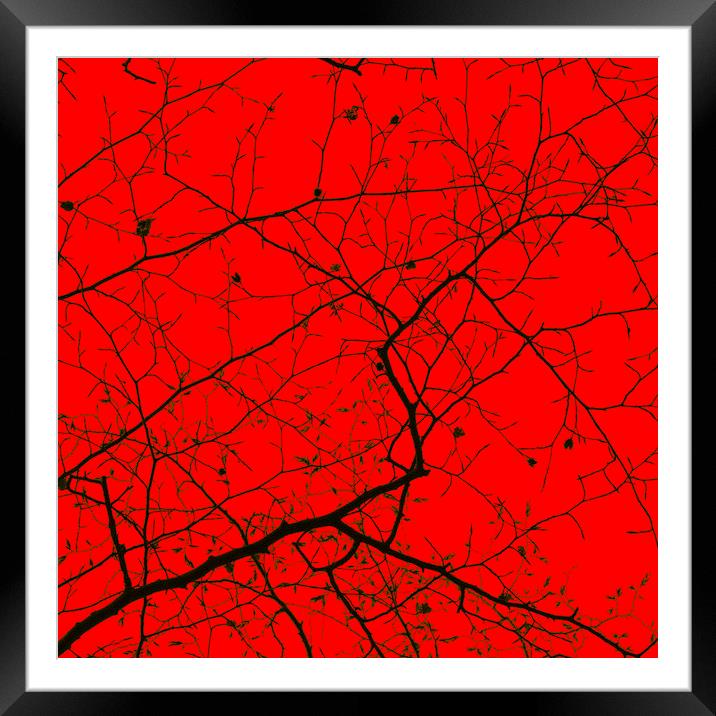 Epping Forest Tree Canopy in Red Framed Mounted Print by David Jeffery