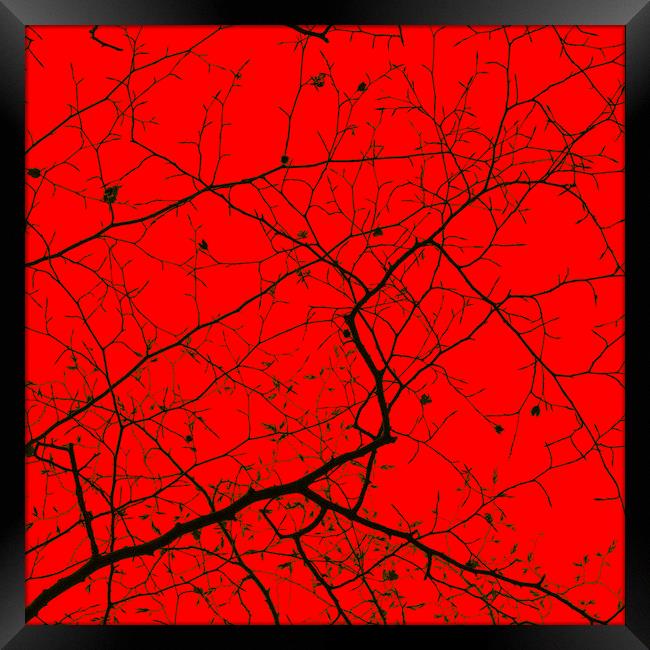 Epping Forest Tree Canopy in Red Framed Print by David Jeffery