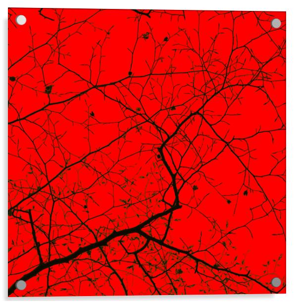 Epping Forest Tree Canopy in Red Acrylic by David Jeffery