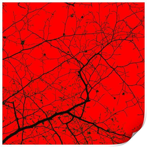Epping Forest Tree Canopy in Red Print by David Jeffery