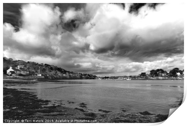 Restronguet Weir In Monochrome Print by Terri Waters