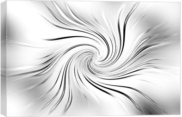 Metal swirl Canvas Print by Ashley Paddon