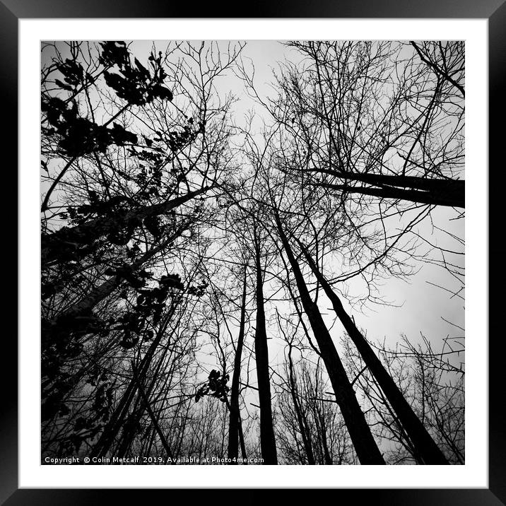 Reach For The Sky Framed Mounted Print by Colin Metcalf
