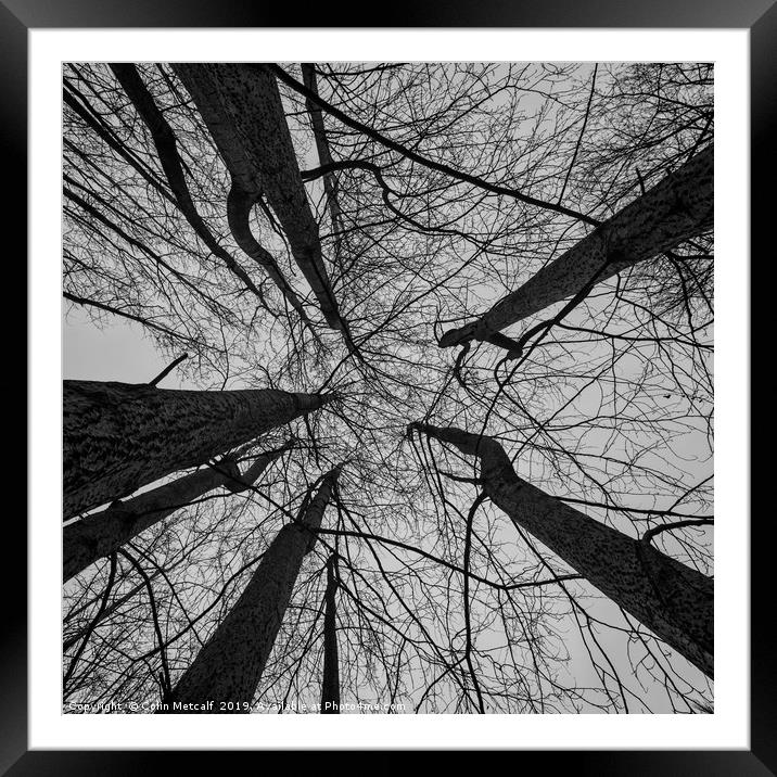 Always Look Up Framed Mounted Print by Colin Metcalf