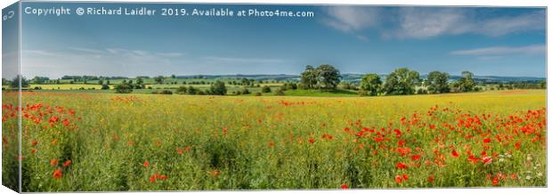 Field Poppies and Flowering Oilseed Rape Panorama Canvas Print by Richard Laidler