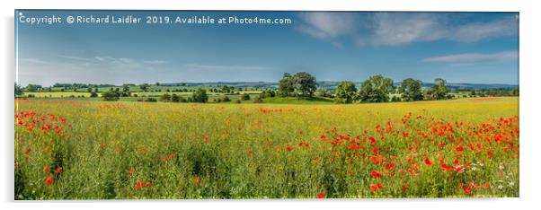 Field Poppies and Flowering Oilseed Rape Panorama Acrylic by Richard Laidler