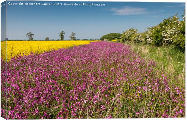 Yellow Oilseed Rape and Red Campion Canvas Print by Richard Laidler