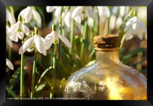 Snowdrops and glass bottle sunrise Framed Print by Simon Bratt LRPS