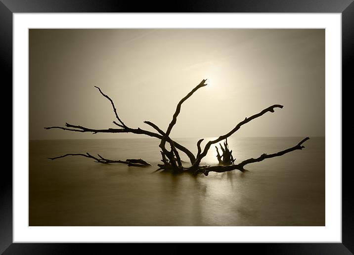 Waterlogged Framed Mounted Print by David Blake