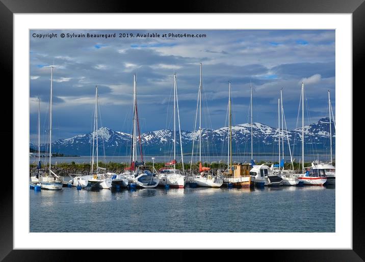 Tromso port, Norway, sail boats Framed Mounted Print by Sylvain Beauregard