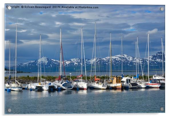 Tromso port, Norway, sail boats Acrylic by Sylvain Beauregard
