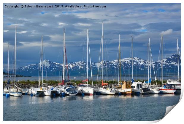 Tromso port, Norway, sail boats Print by Sylvain Beauregard