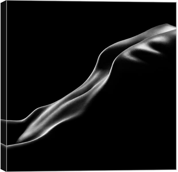 Nude woman bodyscape 10 Canvas Print by Johan Swanepoel