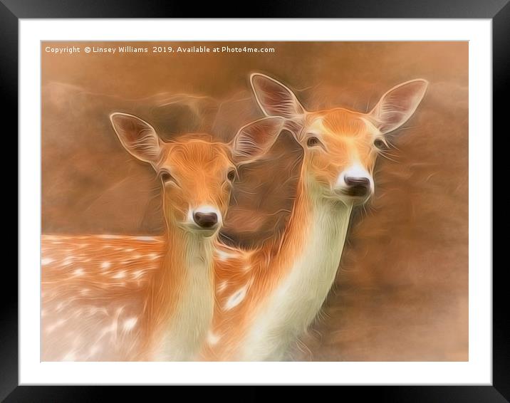 Two Fallow Deer Framed Mounted Print by Linsey Williams