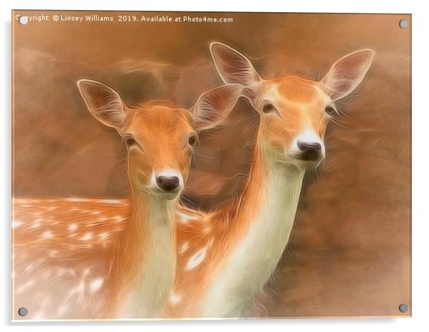 Two Fallow Deer Acrylic by Linsey Williams