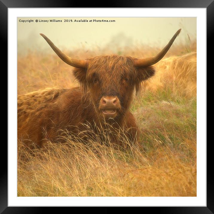 Smiling Highland Cow Framed Mounted Print by Linsey Williams