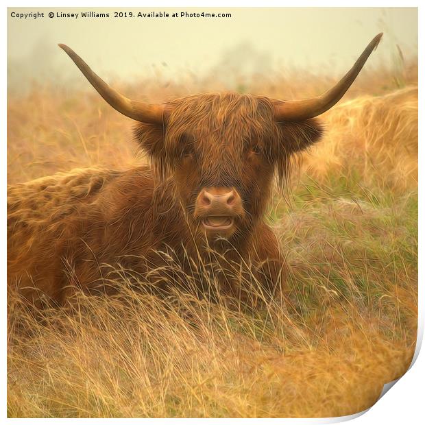 Smiling Highland Cow Print by Linsey Williams