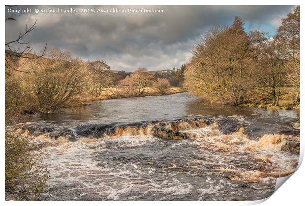 The River Tees near Forest in Teesdale, November Print by Richard Laidler
