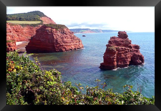 Ladram Bay Jurassic Coast Devon Framed Print by Andy Evans Photos