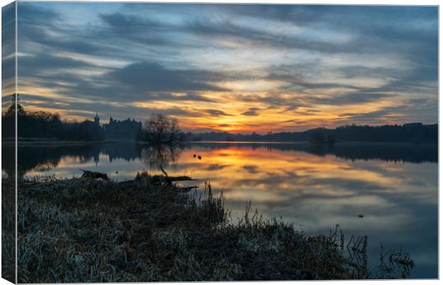 Blue hour over Linlithgow Palace Canvas Print by Miles Gray