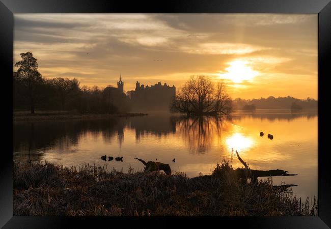 Golden hour over Linlithgow Palace Framed Print by Miles Gray