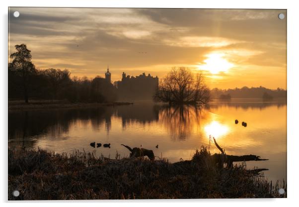 Golden hour over Linlithgow Palace Acrylic by Miles Gray