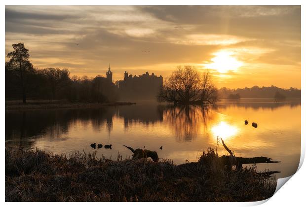 Golden hour over Linlithgow Palace Print by Miles Gray