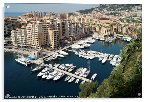 Fontvieille Harbour, Monaco Acrylic by David Birchall