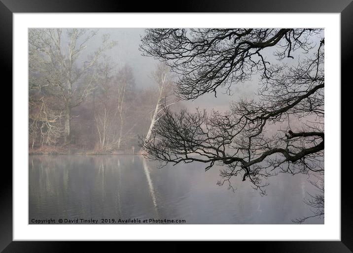 Misty Winter Reflections Framed Mounted Print by David Tinsley