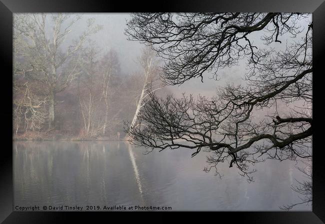 Misty Winter Reflections Framed Print by David Tinsley