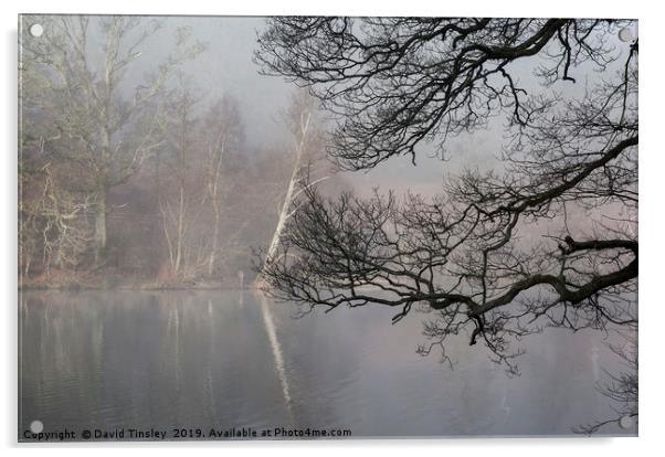 Misty Winter Reflections Acrylic by David Tinsley