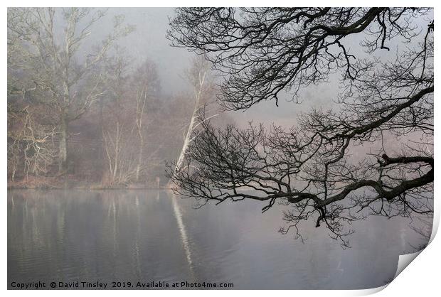 Misty Winter Reflections Print by David Tinsley