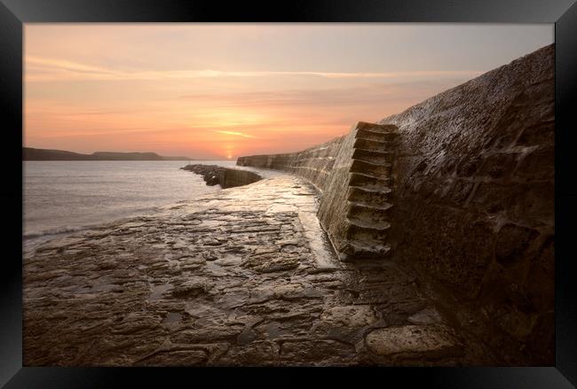Sunrise at The Cobb Framed Print by David Neighbour