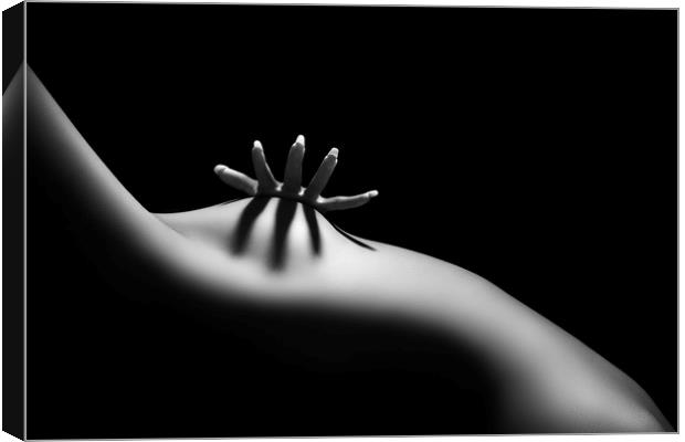Nude woman bodyscape 11 Canvas Print by Johan Swanepoel
