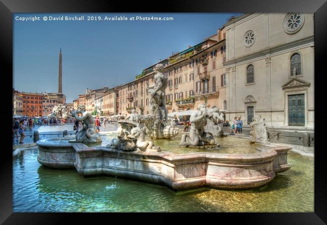 Fontana del Moro in Piazza Navona, Rome Framed Print by David Birchall