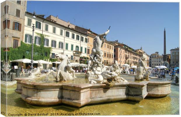 Fountain of Neptune, Piazza Navona, Rome Canvas Print by David Birchall
