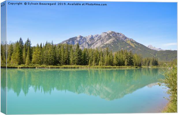 Reflection on Bow River Canvas Print by Sylvain Beauregard