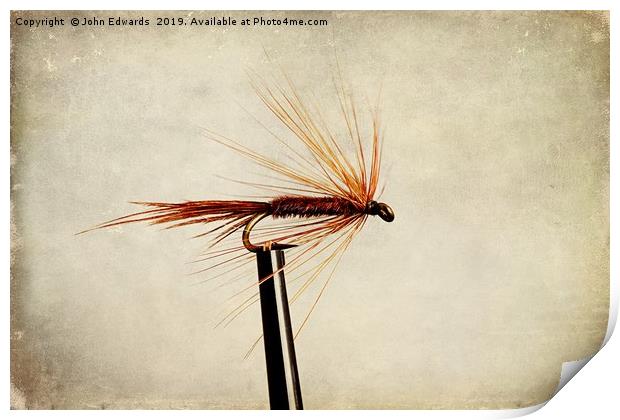 Pheasant Tail Dry Fly Print by John Edwards