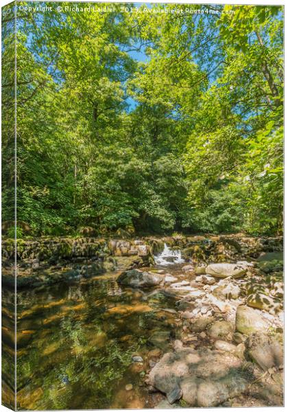 Tranquil Woodland Stream in Summer Canvas Print by Richard Laidler