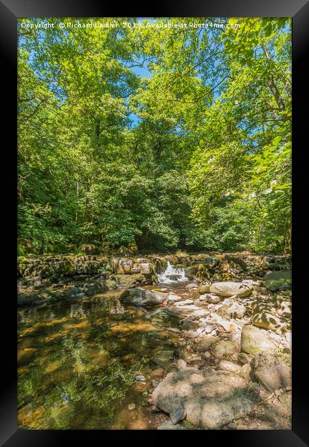 Tranquil Woodland Stream in Summer Framed Print by Richard Laidler
