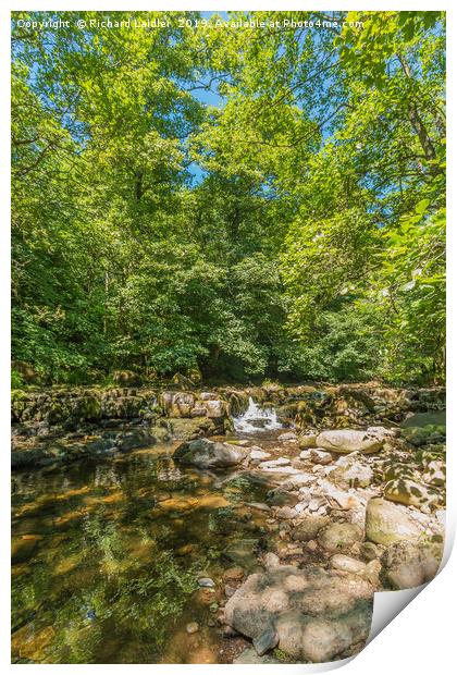 Tranquil Woodland Stream in Summer Print by Richard Laidler