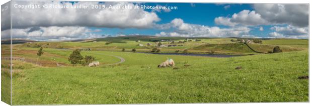 Forest in Teesdale Panorama Canvas Print by Richard Laidler