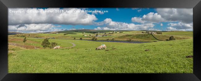 Forest in Teesdale Panorama Framed Print by Richard Laidler