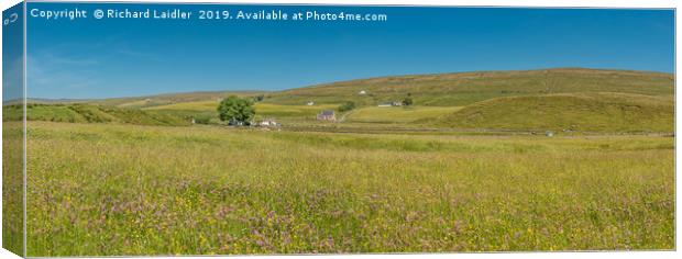 Teesdale Hay Meadows Panorama Canvas Print by Richard Laidler