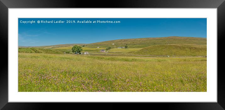 Teesdale Hay Meadows Panorama Framed Mounted Print by Richard Laidler